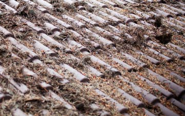 Little Coates roof cleaning companies