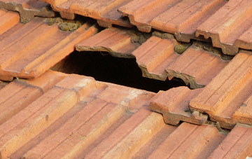 roof repair Little Coates, Lincolnshire