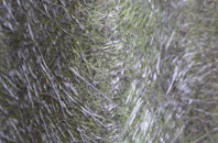 Little Coates fibreglass roof work